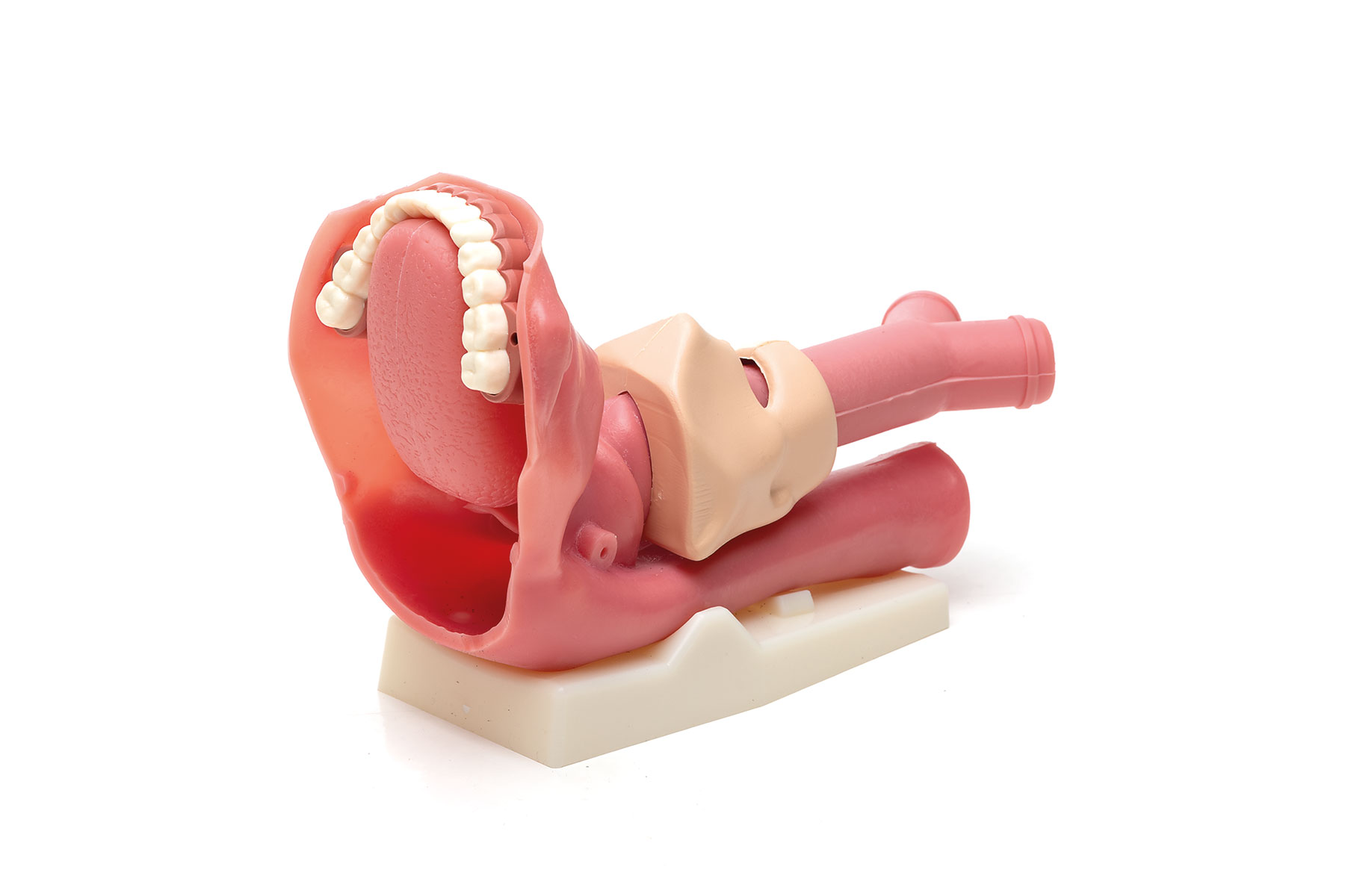 Laerdal Airway Management Trainer